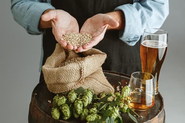 Minibryggeri Hemöl Brewkit 10l ölset som XL-present