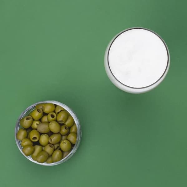 WEASY PINT568 - Ölautomat 5L - Temperatur 3° till 6°C - 60W - Handtag och avtagbar droppbricka - Halkfria fötter