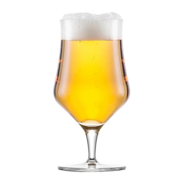 Ölglas Basic Craft Lager 45cl, 4-pack - Schott Zwiesel