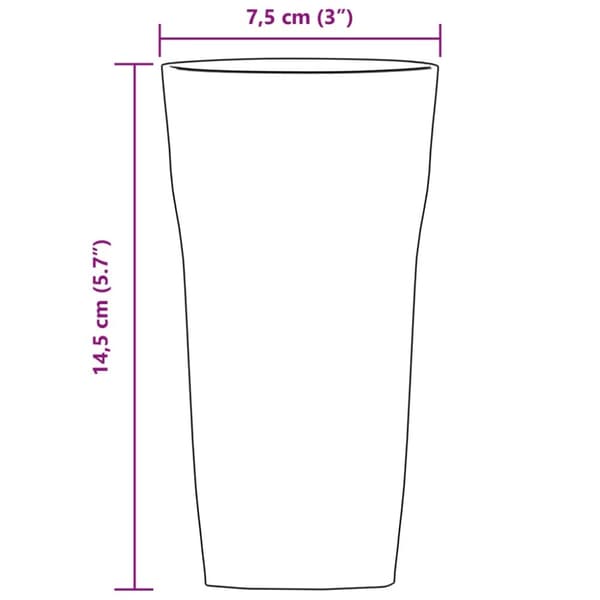 vidaXL Olutlasit 6 kpl 310 ml