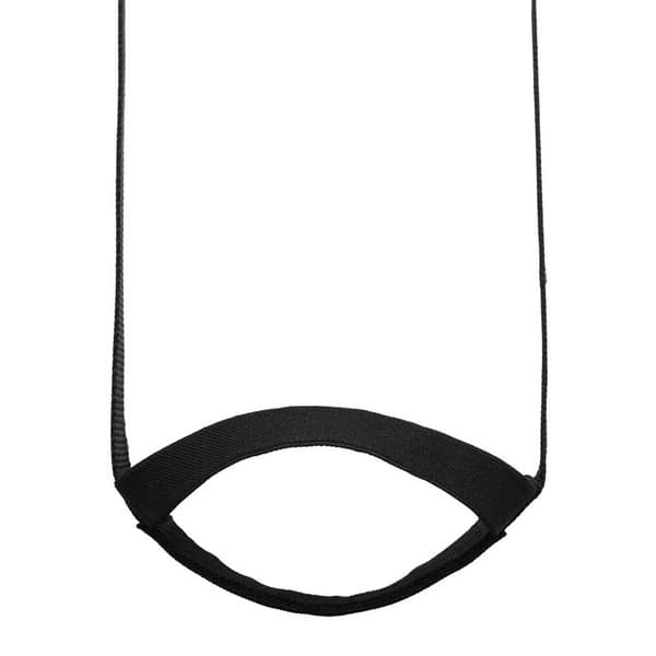 Edelrid Säkerhetsanordning Aid Climber Ii Silver