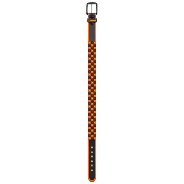 Amplifi Bälte Stud Team Orange M Man