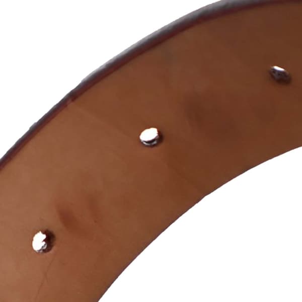 Pre-owned Louis Vuitton Nomade LV Initiales Belt Brown