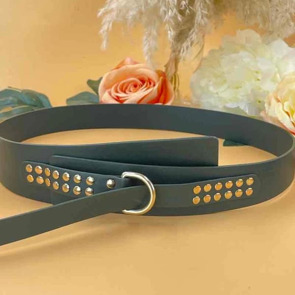 Belt with golden strass - multiple colors