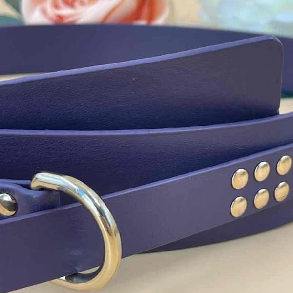 Belt with golden strass - multiple colors