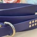 Pikkukuva 5 / 7: Belt with golden strass - multiple colors