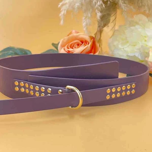 Belt with golden strass - multiple colors