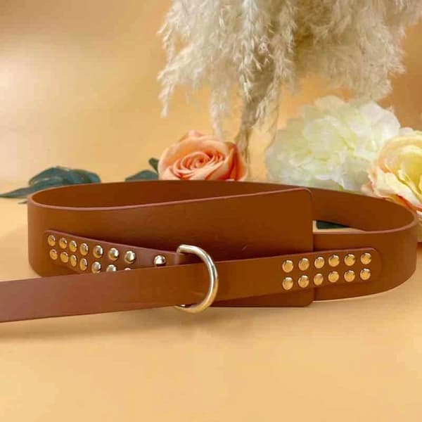 Belt with golden strass - multiple colors