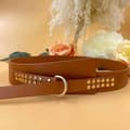 Pikkukuva 1 / 7: Belt with golden strass - multiple colors