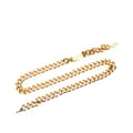 Miniatyrbild 1 av 5: Pre-owned Chanel Gold Plated Logo Plate Chain Belt Gold