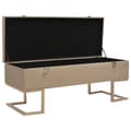 Miniatyrbillede 2 af 7: vidaXL bænk med opbevaringsrum 105 cm fløjl beige