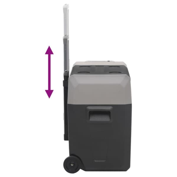 vidaXL Kjøleboks med hjul og adapter svart og grå 30 L polypropylen