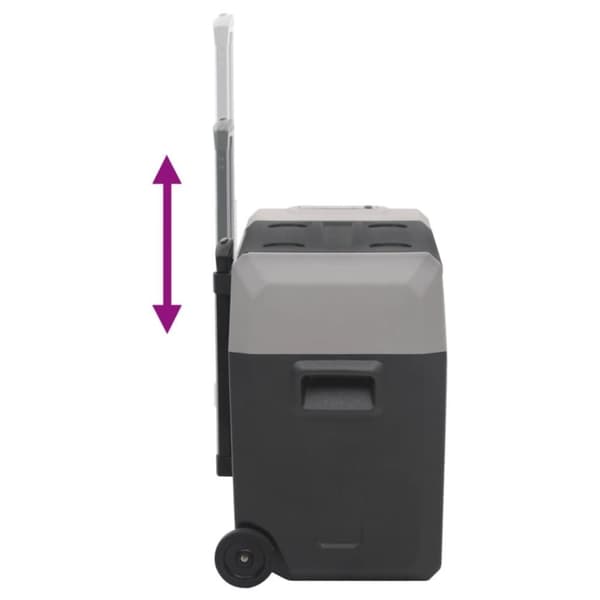 vidaXL Kjøleboks med hjul og adapter svart og grå 50 L polypropylen