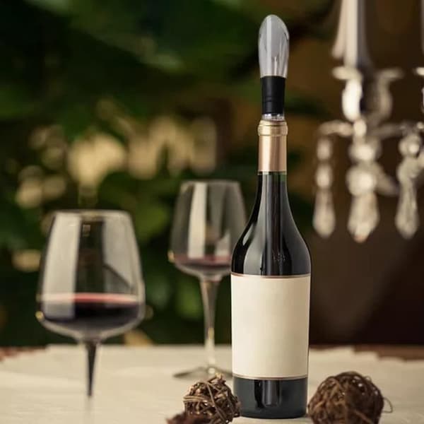 Bärbar vinflaska Chiller Stick med Pourer Vintillbehör för öl FFITYLE