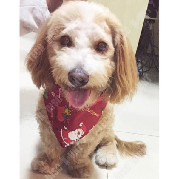 TD® bandana hund röd haklapp superabsorberande handdukstillbehör medelstor liten saliv husdjur julnäsduk