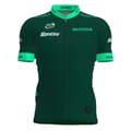 Miniatyrbillede 1 af 3: Santini Bedste Sprinter Tour De France Fan Line 2023 Kort Ærme Jersey Grøn L Mand