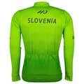 Miniatyrbillede 3 af 3: Ale Det Slovenske Cykelforbund Langærmet Trøje Replica 2023 Grøn L Mand