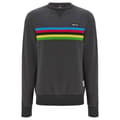 Miniatyrbillede 1 af 2: Santini Uci World Champion 2024 Sweatshirt Grå M Mand