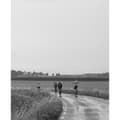 Miniatyrbillede 4 af 4: Poc Signal All-weather Jakke Sort L Mand