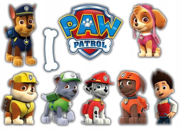 Plastkorg för CYKEL OCH SCOOTER PAW PATROL