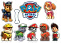 Miniatyrbild 6 av 7: Plastkorg för CYKEL OCH SCOOTER PAW PATROL