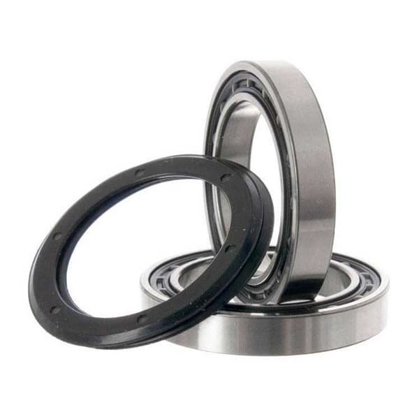 Campagnolo Ultra Torque Record Bearings Silver