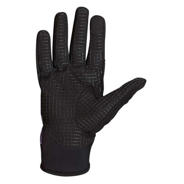 Northwave Winter Active Handskar Lila L Man