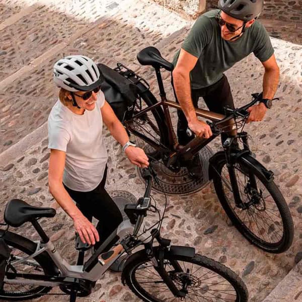 Ergon Greb Gp1 Evo Rohloff/nexus  130 / 100 mm
