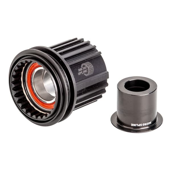 Dt Swiss Shimano Micro Spline Ratchet Kit Svart 12 x 142/148 mm