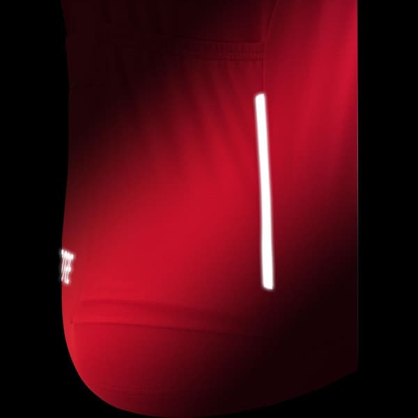 Gore® Wear Kortærmet Jersey C5 Optiline Rød S Mand