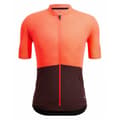 Pikkukuva 1 / 3: Santini Lyhythihainen Jersey Colore Riga Oranssi S Mies