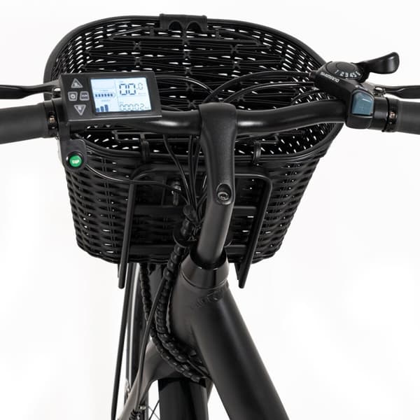 Elektrisk sykkel Youin BK2226B Svart 250 W 26"
