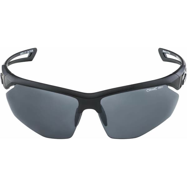 Solbriller Alpina A8635331 Sort