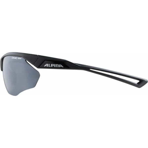 Solbriller Alpina A8635331 Sort