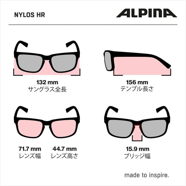 Solbriller Alpina A8635331 Sort