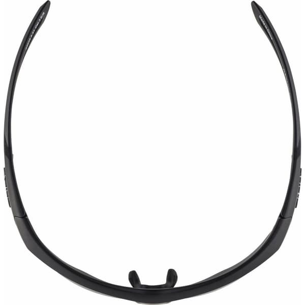 Solbriller Alpina A8635331 Sort