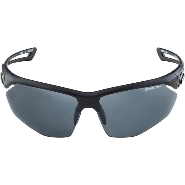 Solbriller Alpina A8635331 Sort