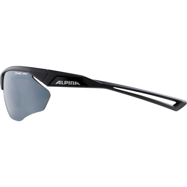 Solbriller Alpina A8635331 Sort