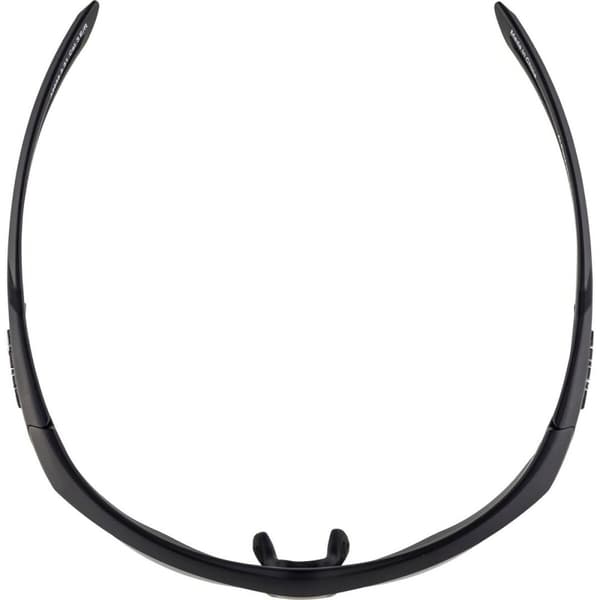 Solbriller Alpina A8635331 Sort