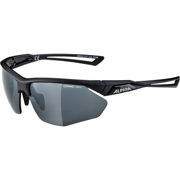 Solbriller Alpina A8635331 Sort
