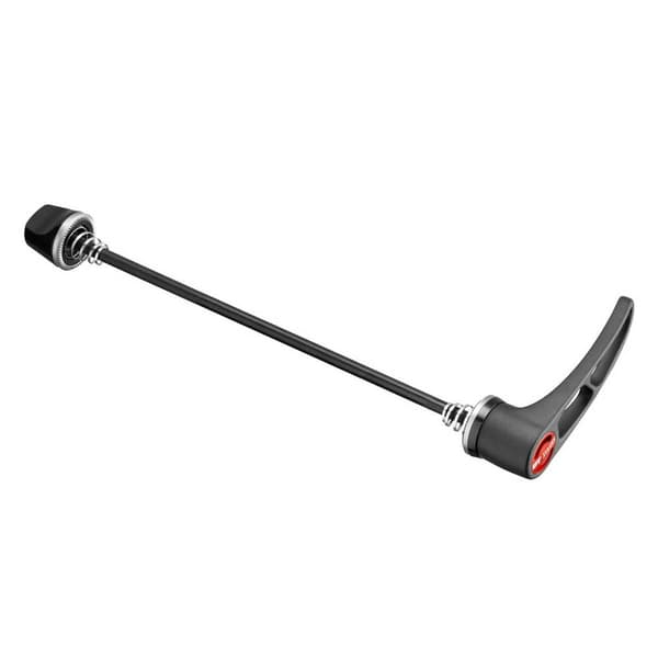 Dt Swiss Rws 10 Pikakiinnitysvarras Hopeinen 5 x 145 mm