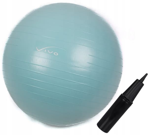 VIVO Gymnastikboll för övningar 55 cm + PUMP