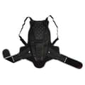 Pikkukuva 1 / 2: Alpinestars Bicycle Selkäsuoja Bionic Musta L