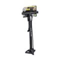 Miniatyrbild 7 av 7: Fotpump Dunlop