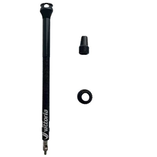 Vittoria Venttiilit Tubeless 2 Yksiköitä Kirkas 100 mm