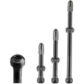 Pikkukuva 3 / 5: Schwalbe Tubeless-venttiilit Hopeinen 80 mm