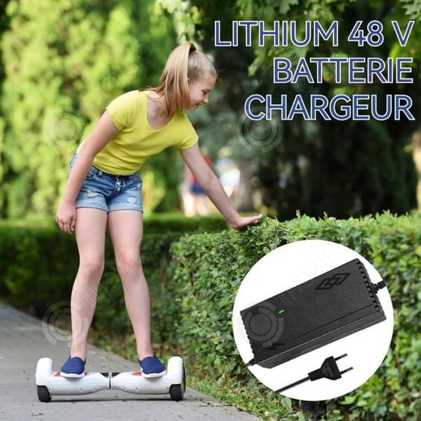 INN Laddare för el-scooter 54.6V/2A för li-ion batteri för e-cykel/scooter/motoradaptrar strömförsörjning laddare