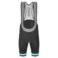 Miniatyrbillede 1 af 3: Santini Bib Shorts Karma Bengal Grå M Mand