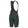 Pikkukuva 2 / 2: Ale Bib Shortsit Pr-e Magic Colour Vihreä XL Mies