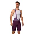 Miniatyrbillede 9 af 10: Pearl Izumi Expedition Cykelshorts Lilla 2XL Mand